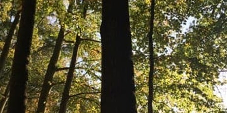 Jesienny las widziany oczami dzieci z klas II