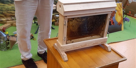 Zajęcia z pszczelarzem 