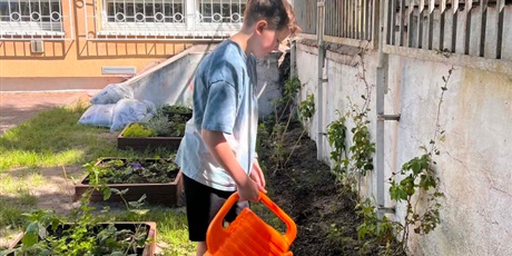 Powiększ grafikę: uczniowie szkoły podlewający rośliny